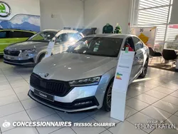 Gris Utilisé 2023 Skoda Octavia SportLine Berline | 32 990 € (Prix assez cher)