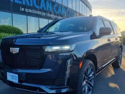 Nouvelle 2025 Cadillac Escalade SUV | 189 900 € (Prix juste)