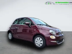 Utilisé 2019 Fiat 500 Citadine | 11 800 € (Prix juste)