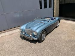 Autres Occasion 1954 Austin Healey 100 Cabriolet | 100 000 €