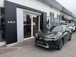 Vert Utilisé 2024 Lexus UX 250h Executive Line SUV | 33 990 € (Prix juste)