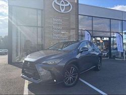 Utilisé 2023 Lexus NX450h+ Executive Line SUV | 55 980 € (Prix juste)