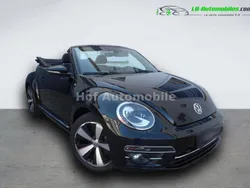 VW Beetle