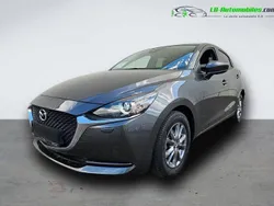Utilisé 2021 Mazda 2 Citadine | 20 600 € (Prix cher)