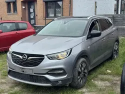 Bleu Utilisé 2020 Opel Grandland X SUV | 4 990 €