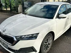 Blanc Utilisé 2021 Skoda Octavia Business Line Berline | 23 495 € (Prix juste)