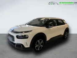 Utilisé 2020 Citroën C4 Cactus PureTech Citadine | 16 500 € (Prix cher)
