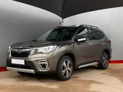 Brun Utilisé 2019 Subaru Forester SUV | 31 900 €