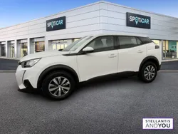 Blanc Utilisé 2021 Peugeot 2008 Active SUV | 13 790 € (Prix juste)