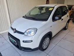 Blanc Utilisé 2025 Fiat Panda Classica Citadine | 15 990 € (Bon prix)