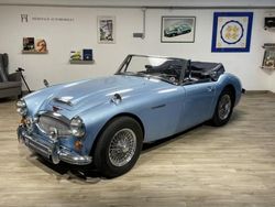 Occasion 1965 Austin Healey 3000 MK III | 59 000 €