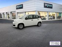 Utilisé 2018 Fiat Panda Citadine | 7 990 € (Super prix)
