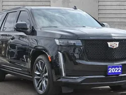 Noir Utilisé 2022 Cadillac Escalade SUV | 94 407 € (Super prix)