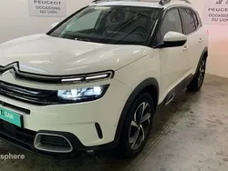 Blanc Utilisé 2019 Citroën C5 Aircross Shine SUV | 14 999 € (Bon prix)