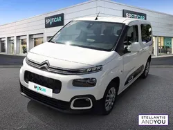 Utilisé 2021 Citroën Berlingo Feel Monospace | 16 490 € (Prix juste)