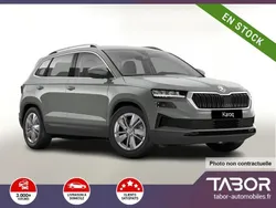 Gris Nouvelle 2025 Skoda Karoq Selection SUV | 34 576 € (Prix juste)