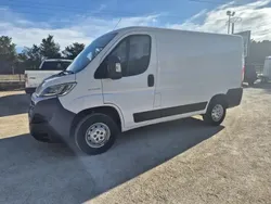 Blanc Utilisé 2019 Fiat Ducato Van | 18 000 €