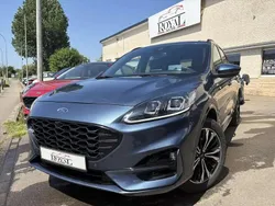 Bleu Utilisé 2021 Ford Kuga ST-Line X SUV | 26 656 € (Prix assez cher)
