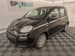 Noir Utilisé 2025 Fiat Panda Classica Citadine | 16 290 € (Prix assez cher)