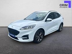 Blanc Utilisé 2024 Ford Kuga ST-Line SUV | 29 890 € (Prix juste)