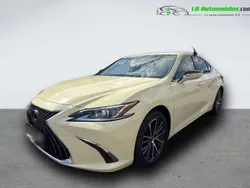 Utilisé 2025 Lexus ES300H Berline | 60 700 € (Prix assez cher)