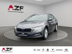 Utilisé 2023 Skoda Octavia Berline | 23 890 € (Super prix)