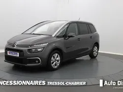 Gris Utilisé 2020 Citroën C4 Feel Berline | 15 590 € (Prix cher)
