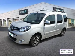 Gris Utilisé 2019 Renault Kangoo Intens Monospace | 17 990 € (Prix cher)