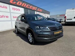 Gris Utilisé 2020 Skoda Karoq Ambition SUV | 19 990 € (Prix assez cher)