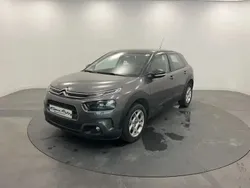 Gris Utilisé 2019 Citroën C4 Cactus Business Class Citadine | 14 900 € (Prix assez cher)