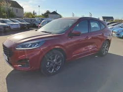 Rouge Utilisé 2024 Ford Kuga ST-Line SUV | 29 499 € (Bon prix)