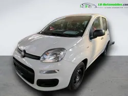 Utilisé 2020 Fiat Panda Citadine | 10 800 € (Bon prix)