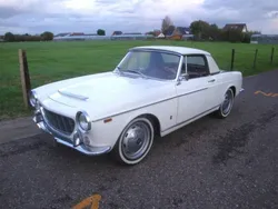 Blanc Utilisé 1960 Fiat 1500 Cabriolet | 31 500 €