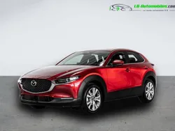 Utilisé 2024 Mazda CX-30 SUV | 40 000 € (Prix cher)