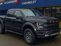 Noir Nouvelle 2024 Ford F-150 Raptor Pick-up | 109 990 €