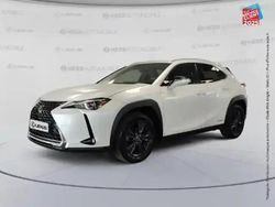 Blanc Utilisé 2019 Lexus UX 250h SUV | 22 499 € (Prix juste)