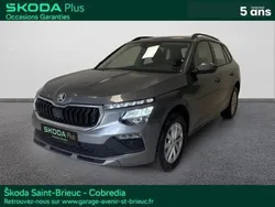 Gris Utilisé 2024 Skoda Kamiq Selection SUV | 27 490 €