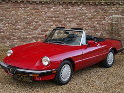 Rouge Utilisé 1988 Alfa Romeo Spider Cabriolet | 26 500 €
