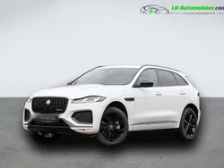 Utilisé 2024 Jaguar F-Pace SUV | 68 200 € (Prix assez cher)