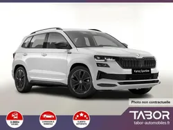 Blanc Nouvelle 2025 Skoda Karoq SUV | 37 601 € (Prix cher)
