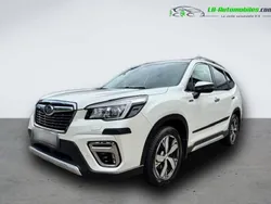 Utilisé 2020 Subaru Forester SUV | 31 200 € (Prix assez cher)