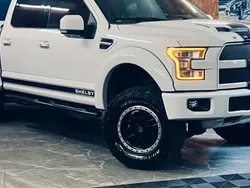 Utilisé 2017 Ford Shelby | 83 990 €