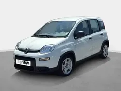 Blanc Utilisé 2024 Fiat Panda S Citadine | 11 990 € (Prix juste)