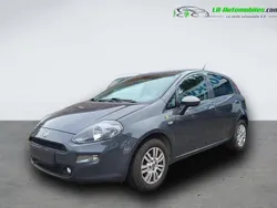 Utilisé 2016 Fiat Punto Citadine | 10 600 € (Prix cher)