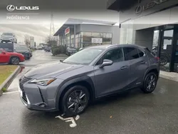 Gris Utilisé 2021 Lexus UX 250h SUV | 28 990 € (Prix juste)