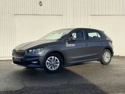 Gris Utilisé 2024 Skoda Fabia Selection | 17 990 € (Super prix)