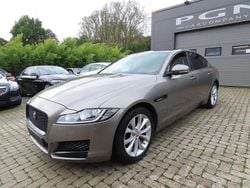 Beige Utilisé 2019 Jaguar XF Portfolio Berline | 23 900 € (Prix juste)
