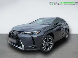 Utilisé 2023 Lexus UX 250h SUV | 45 500 €