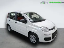 Utilisé 2020 Fiat Panda Citadine | 11 200 € (Bon prix)