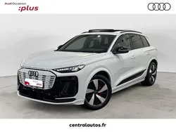 Blanc Utilisé 2024 Audi Q6 e-tron S-Line SUV | 79 990 €